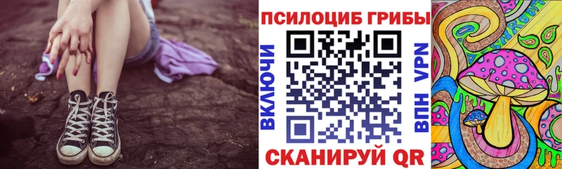 Псилоцибиновые грибы мухоморы  купить наркотики цена  Махачкала 