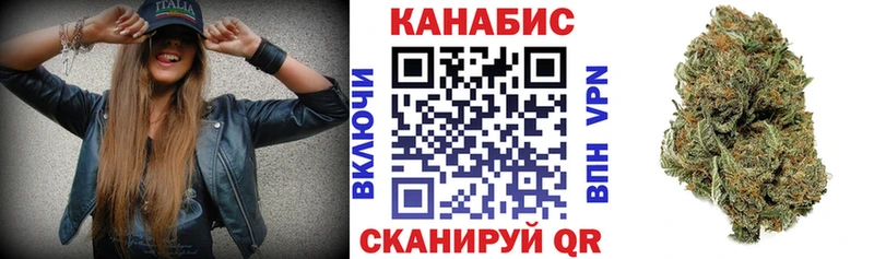 дарнет шоп  Махачкала  Марихуана сатива 
